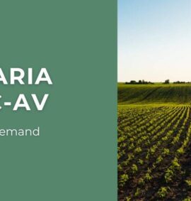 corso online tolc av