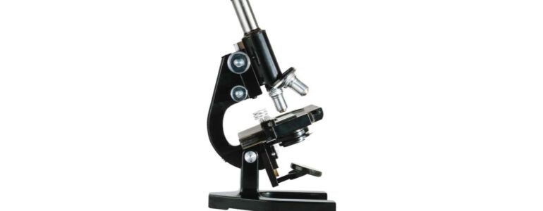microscopio ottico