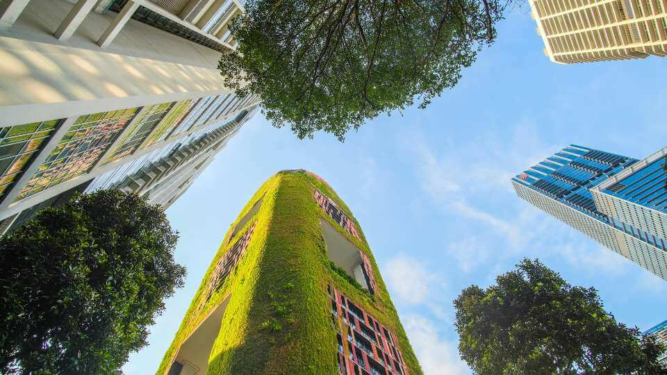Bioarchitettura - progettare in armonia con l'ambiente