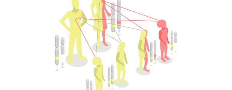 leggi di Mendel - importanza nella genetica