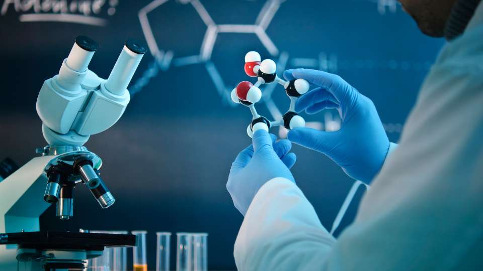 Le relazioni tra massa molecolare e peso molecolare