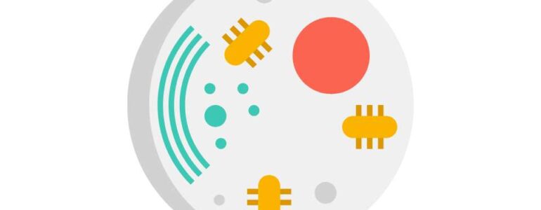 glicolisi - la prima fase della respirazione cellulare