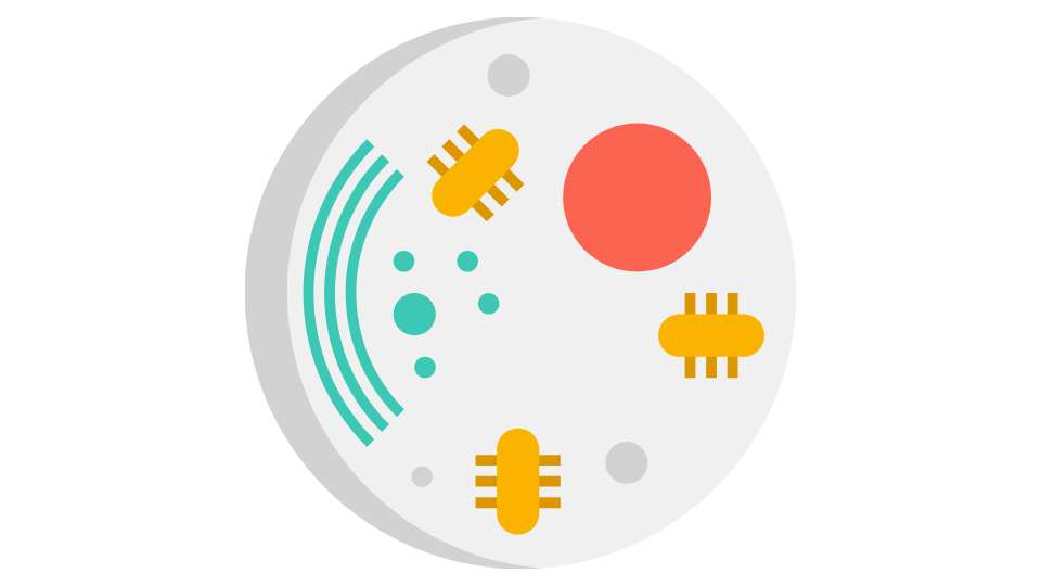 glicolisi - la prima fase della respirazione cellulare