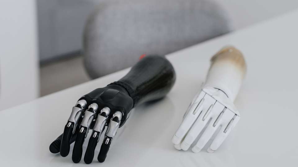 ingegnere biomedico - come diventare