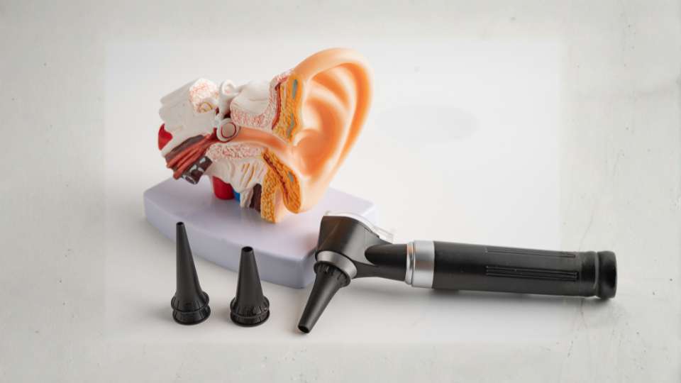 Come diventare otorinolaringoiatra - studi, specializzazione e sbocchi professionali