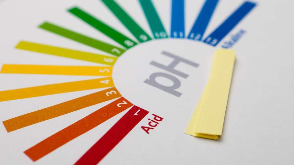 scala logaritmica pH - cosa misura