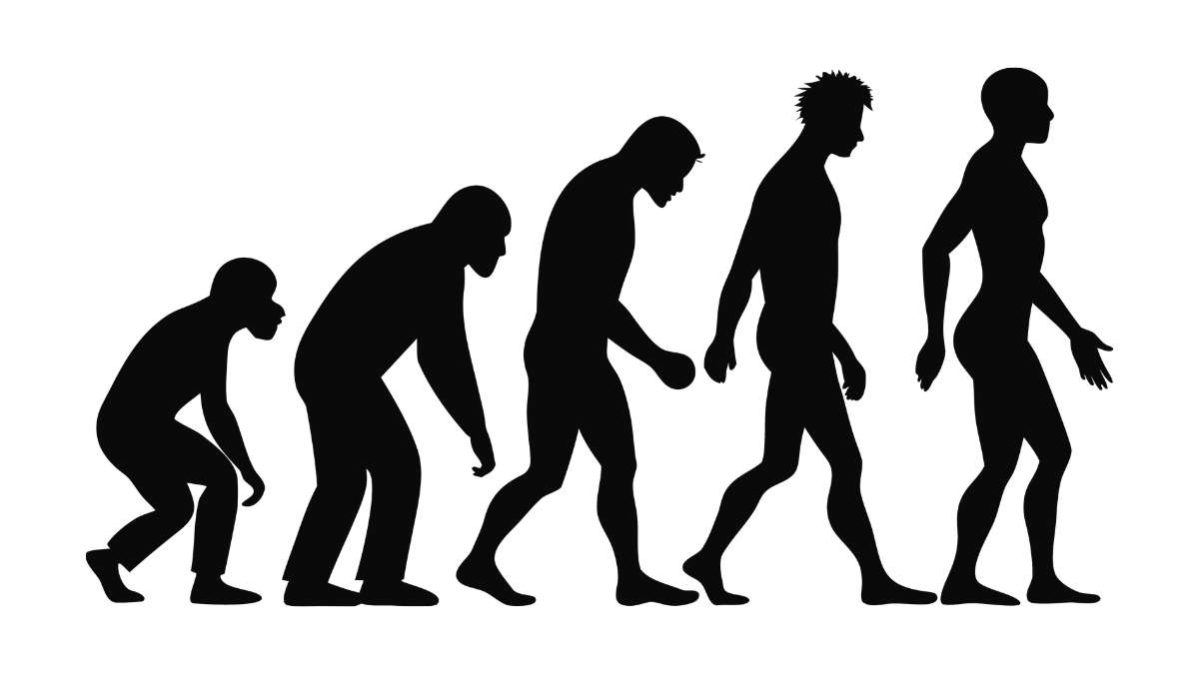 A cosa serve la teoria di Darwin nello studio della biologia