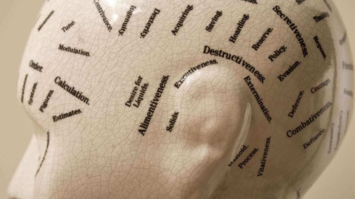 Frenologia - origine, teorie e cosa sappiamo oggi nel 2026