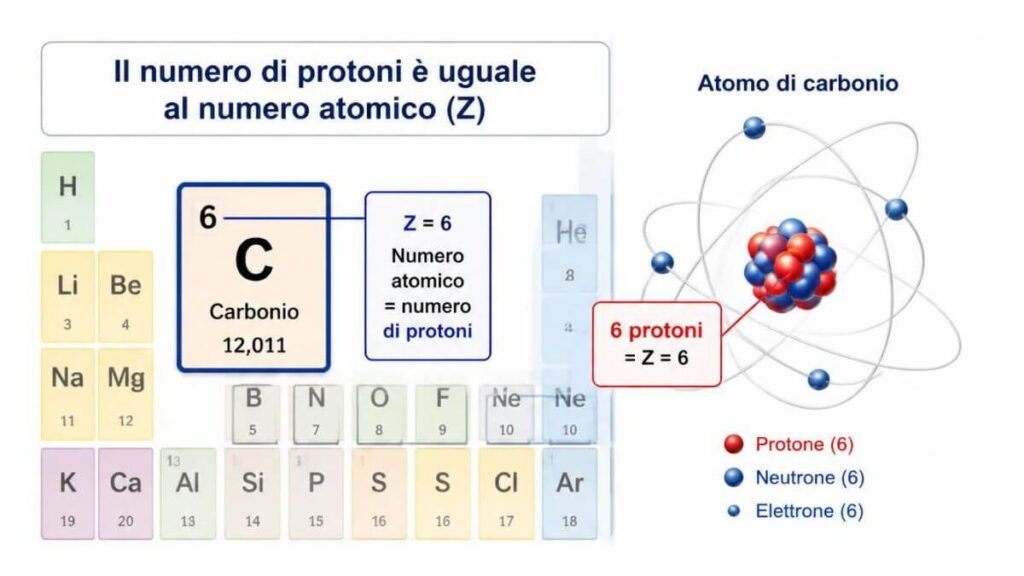 Le caratteristiche dei protoni nella teoria atomica moderna