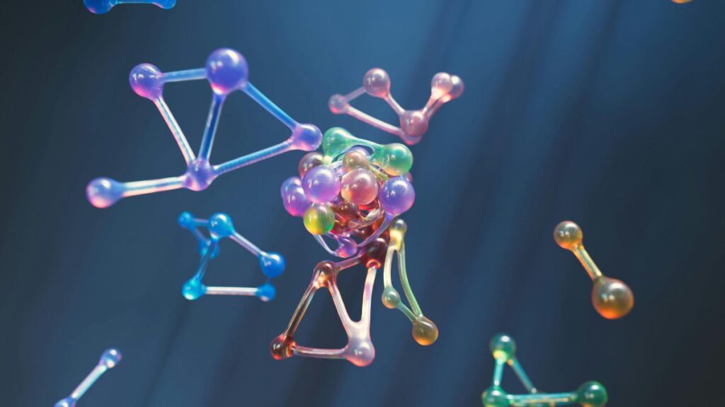 Analisi delle molecole organiche - funzioni delle macromolecole biologiche